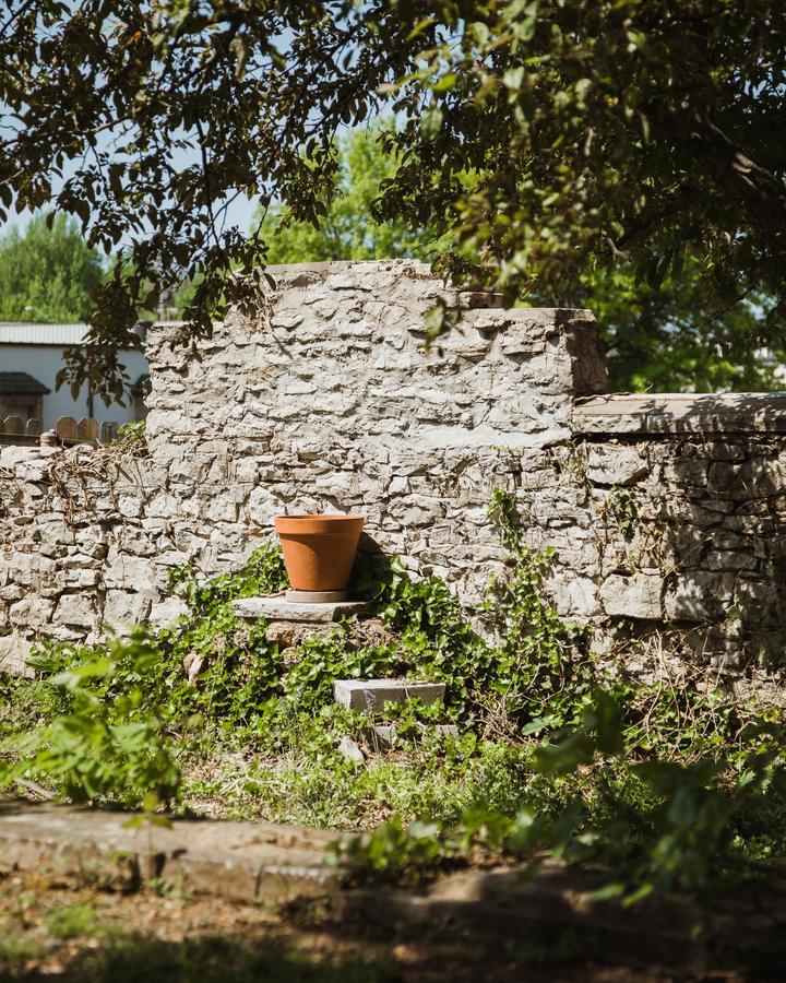 Bed and Breakfast The Mansion At Elfindale Спрингфілд Екстер'єр фото